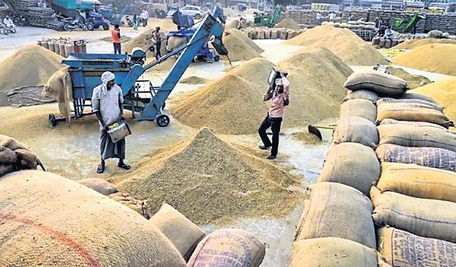 Rice millers shut operations