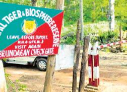 Similipal croc count sees marginal rise