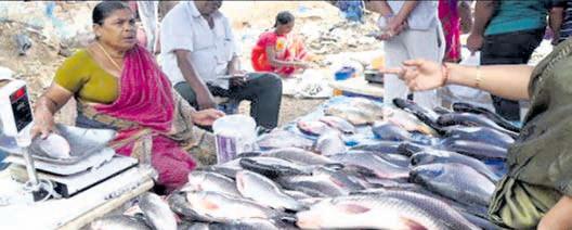 BMC's non-veg waste disposal norms