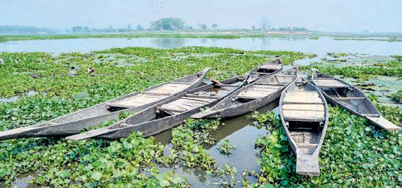 NGT takes note of environmental damage to Deepor Beel in Assam