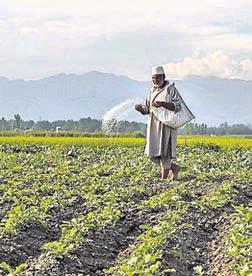 Holistic agriculture plan reshapes J&K farming