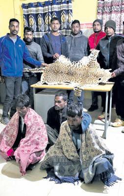 Leopard hide seized, 3 held