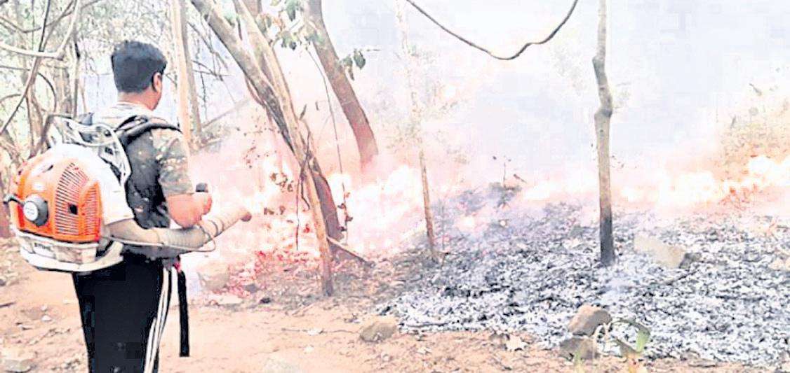 State to use AI, drones to control forest fires