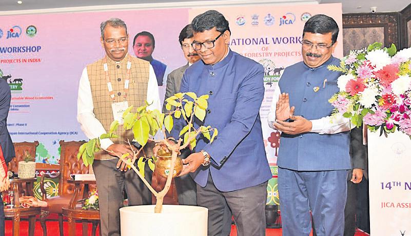 Healthy forests key to climate security: Min
