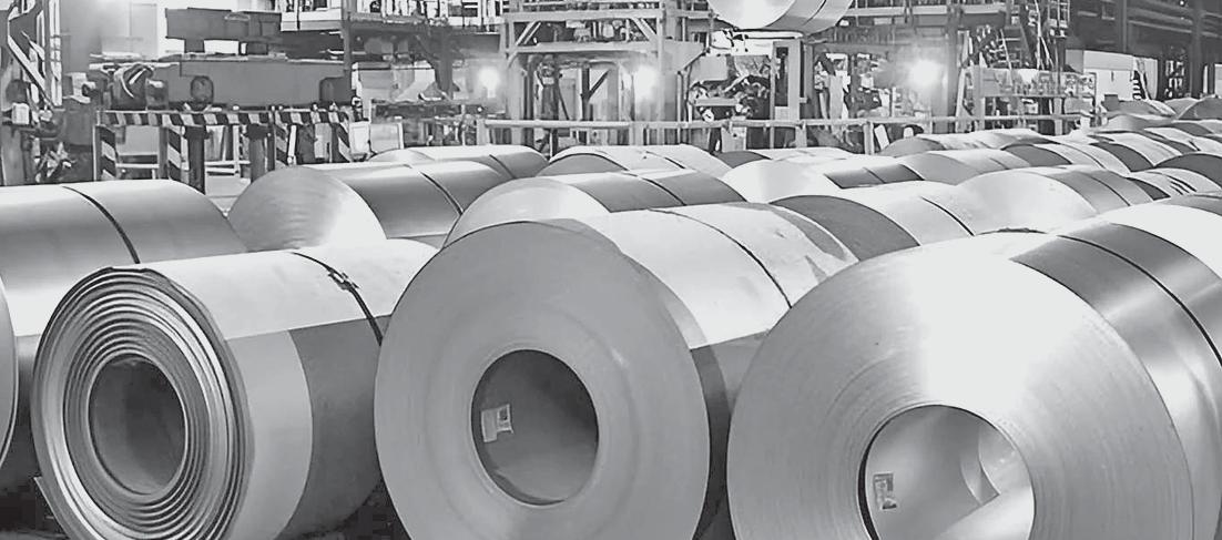 INDIA’S DECARBONISATION GAMBLE