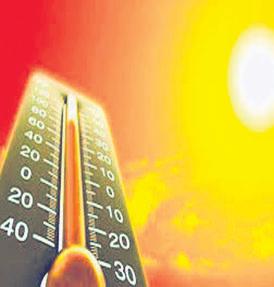 2 Census workers die of ‘sunstroke’