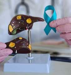 ‘Rising Fatty Liver Cases In Kashmir Due To Sedentary Lifestyles’