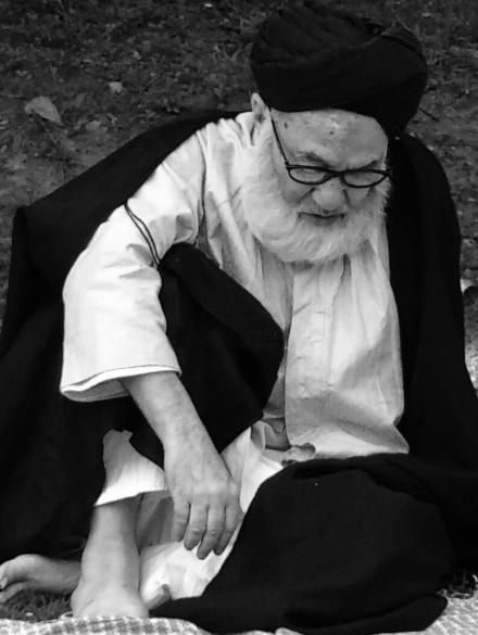 A Sunni Disciple's Tribute to His Shia Mentor