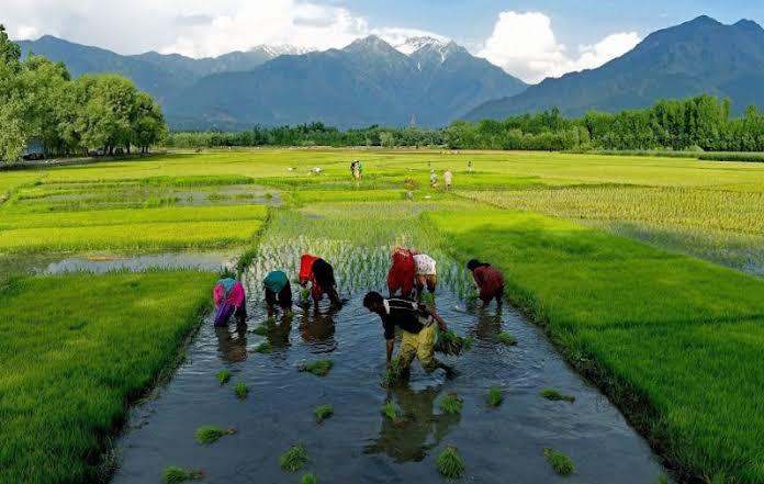 Kashmir's Agrarian Ghost Story