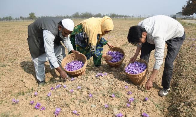 Kashmir's Economic Roadmap