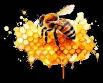 Kashmir's Pollination Hero