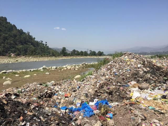 Trash Trouble in Paradise