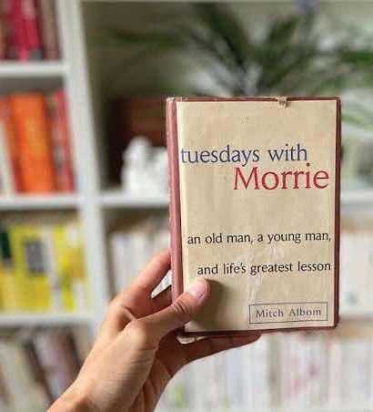 The Book That Hears You Back