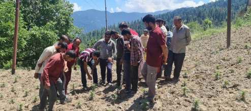 Farmers Imparted Training On Commercial Floriculture