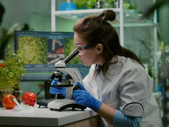 Women Make For 35% STEM Graduates Globally: UNESCO