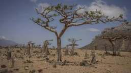 'Strong Climate Plans Antidote To Prevailing Economic Uncertainty'