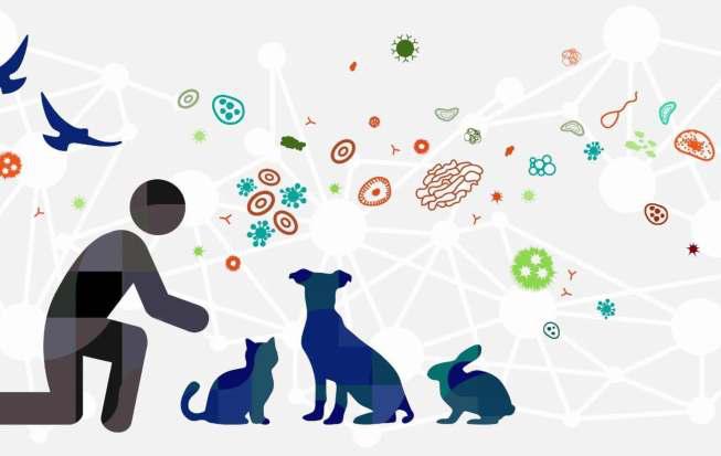 8% Infectious Disease Outbreaks During 2018-2023 Spread From Animals To Humans: Study