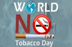 ‘Smoking Gateway To Drug Abuse’