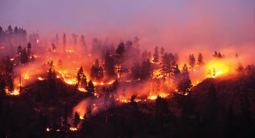 Fire Risk Mapping Shows J&K's Vulnerability