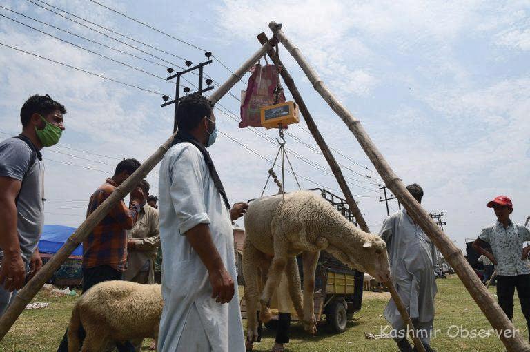Did Kashmir Miss the Point of Eid?