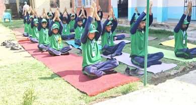 Sports Department's Yoga Wave Sweeps Across Districts