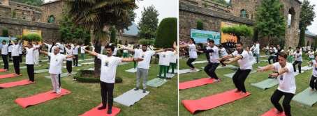 Yoga Day Celebrations Held At Pari Mahal