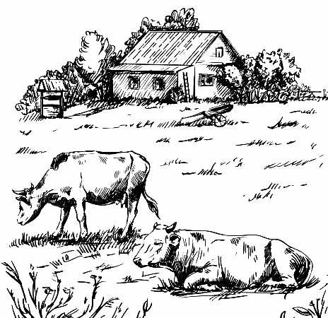 When Village Lands Vanish