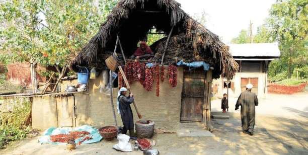 The Lost Songs of Kashmir Villages