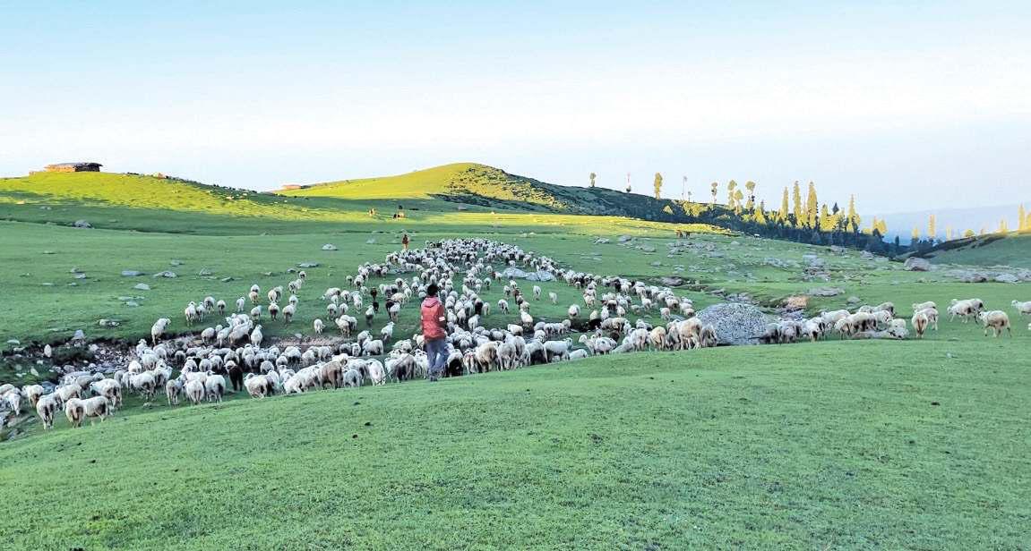 On the Margins: J&K's Tribals Still Fighting for Space