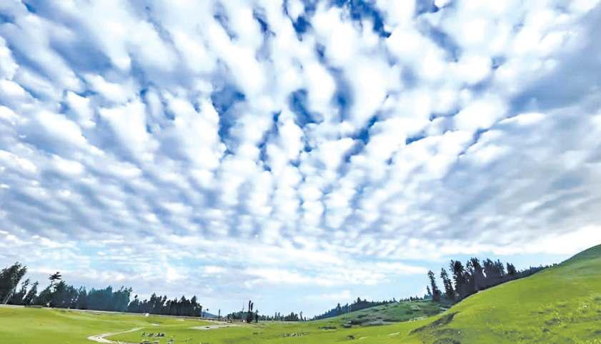 The Meadow Beyond Maps