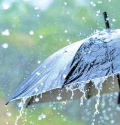 'Kashmir Himalayas See 11mm Annual Rainfall Drop Over 48 Years'