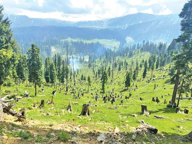 Kashmir Is Losing Its Wild Heart