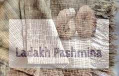 Ladakh’s Quest For Identity Of Its Pashmina Wool Gets Helping Hand From Cooperative Society