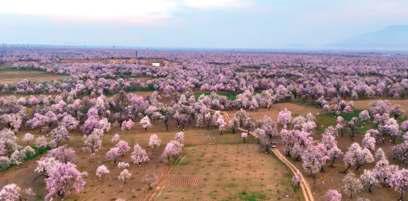 NIT Campus Stalled On Kashmir’s Karewa Farmlands