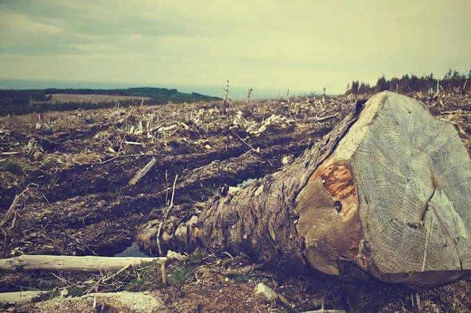 Kashmir's Environmental Emergency