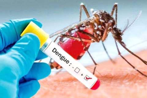 61 Dengue Cases Reported This Year So Far