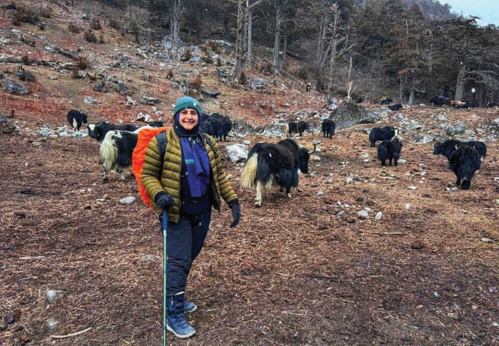 A Scientist's Fight Against Disasters in Kashmir