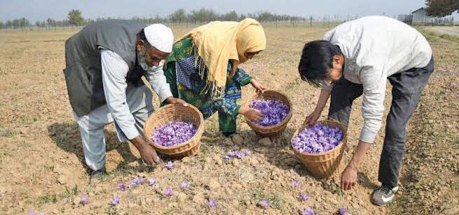 The Paradox of Prosperity in Kashmir