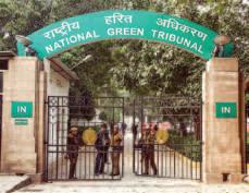 NGT Orders Fresh Fines For Doodh Ganga Pollution
