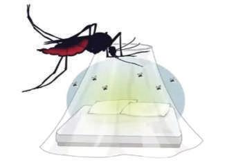 Global Study Projects 51 Lakh In India Could Be At Risk Of Chikungunya Every Year In Long-Term