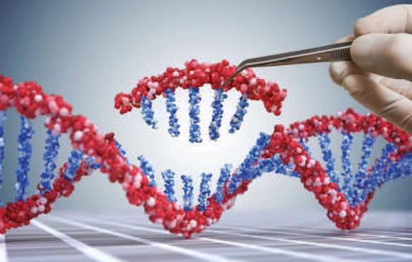 Study Documents Genome Sequencing Completed In Just Four Hours