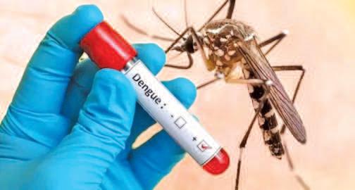 J&K Records Over 2,200 Dengue Cases This Year