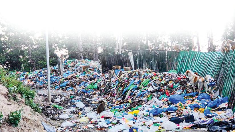 The Plastic Bloom of Kashmir