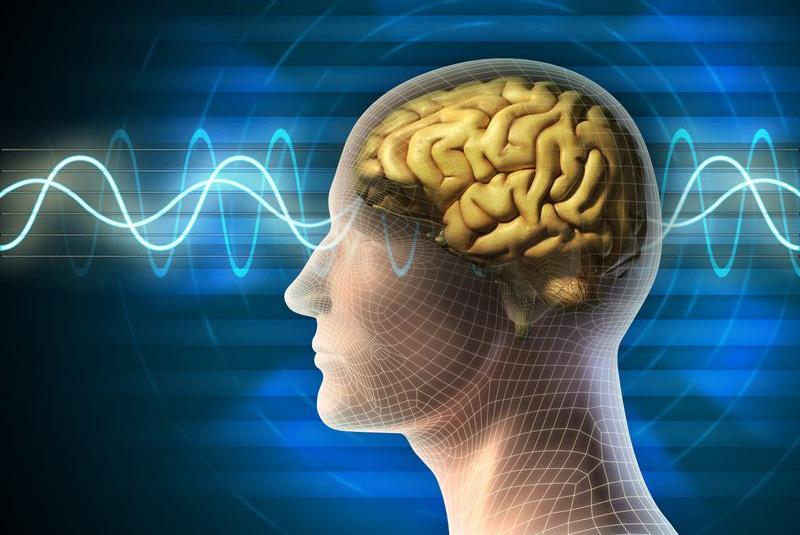 ‘Inability To Pay Attention When Sleep-Deprived Could Be Brain Wanting To Clear Waste’