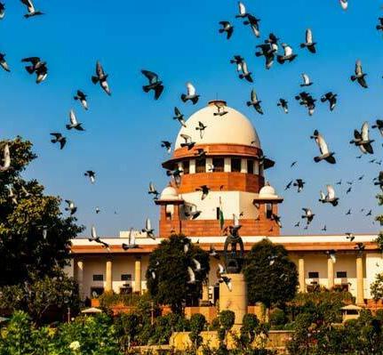 Non-disclosure of Conviction by Candidate Renders Election Void: SC