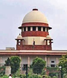 SC Orders Relocation Of Stray Dogs From Streets