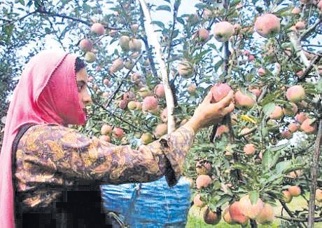 Kashmiri Girl’s 19-Hour Hope Run