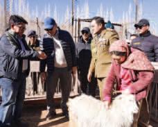 Ladakh Pashmina to Go Global: LG Gupta