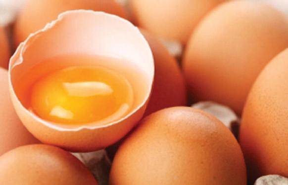 Trust on Eggshells
