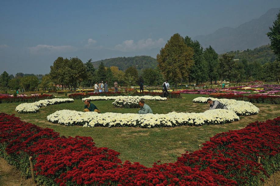 Kashmir Bets Big on Theme Gardens